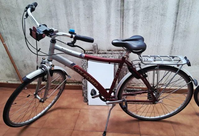 Bicicleta Oxford Newland Belga