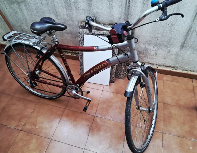 Bicicleta Oxford Newland Belga
