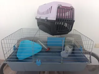 Jaula grande y transportín cobaya