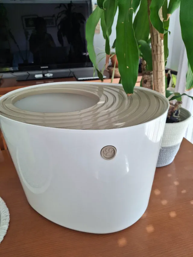 Arenero para gatos diseño moderno