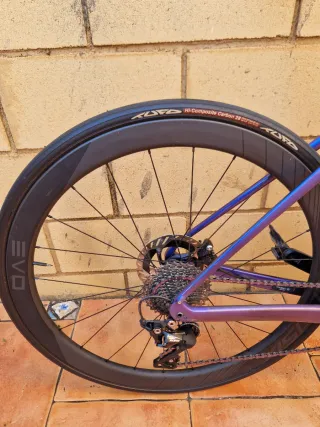 Bicicleta Trek Domane