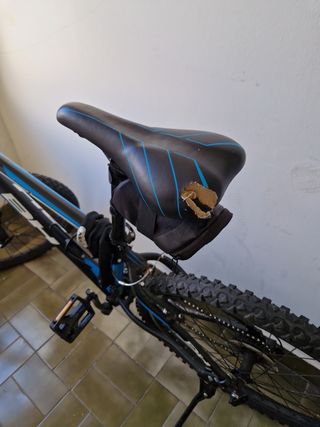 Bicicleta BH FS