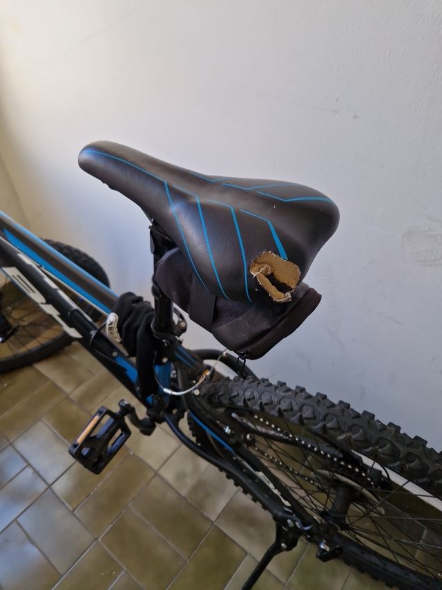 Bicicleta BH FS