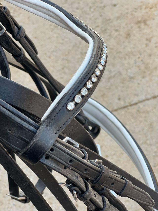 Cabezada de doma para caballos