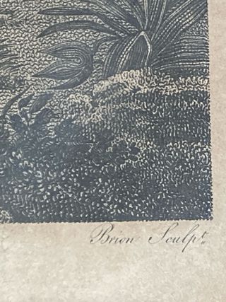 Stupenda stampa religiosa Le repos de la Ste Famil