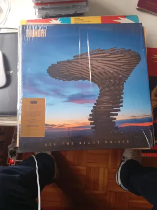 Vinilo Thunder All The Right Noises