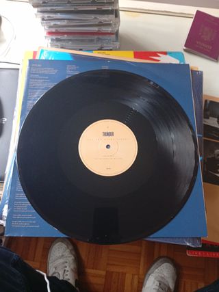Vinilo Thunder All The Right Noises