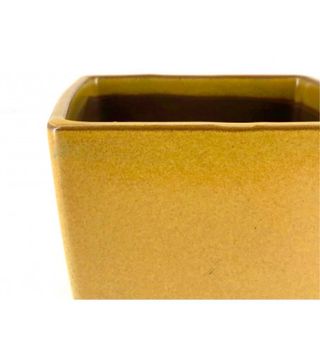 Vaso bonsai quadrado Yokkaichi 11.5cm Amarelo