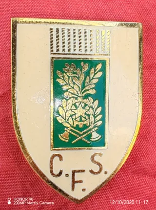 Spilla militare C.F.S.