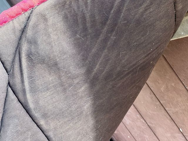 Mantilla caballo uso general estampado