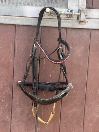 Cabezada Doma Caballos Equitación