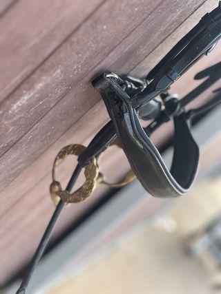 Cabezada Doma Caballos Equitación