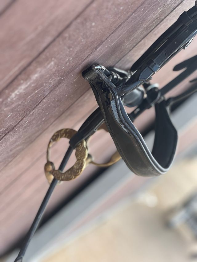 Cabezada Doma Caballos Equitación