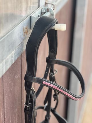 Cabezada Doma Caballos Equitación