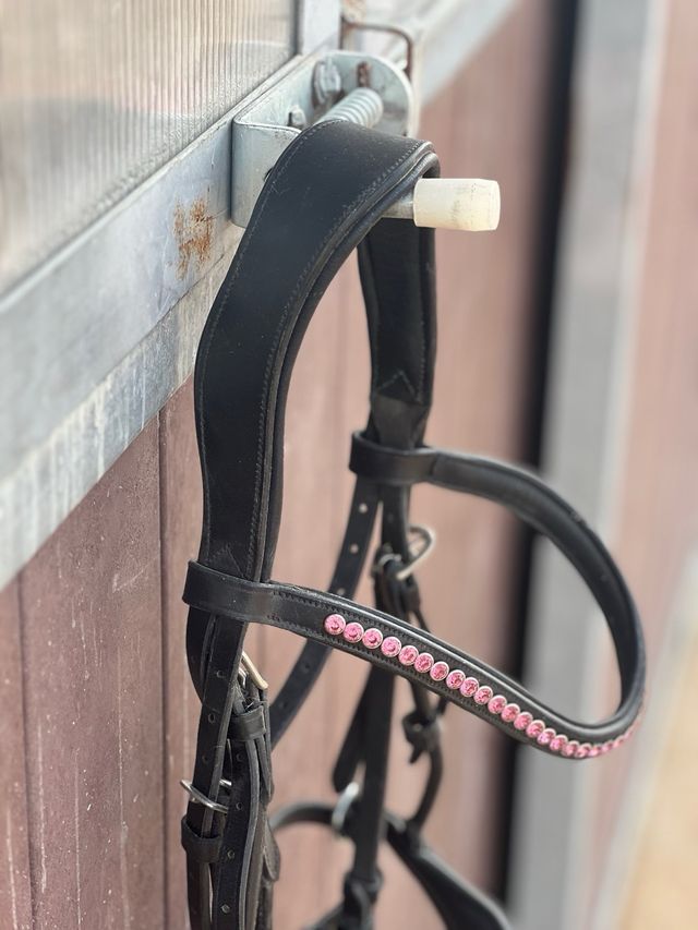 Cabezada Doma Caballos Equitación