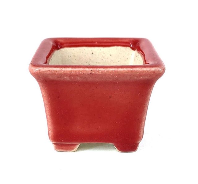 Vaso bonsai quadrado Yixing 5.5 cm vermelho