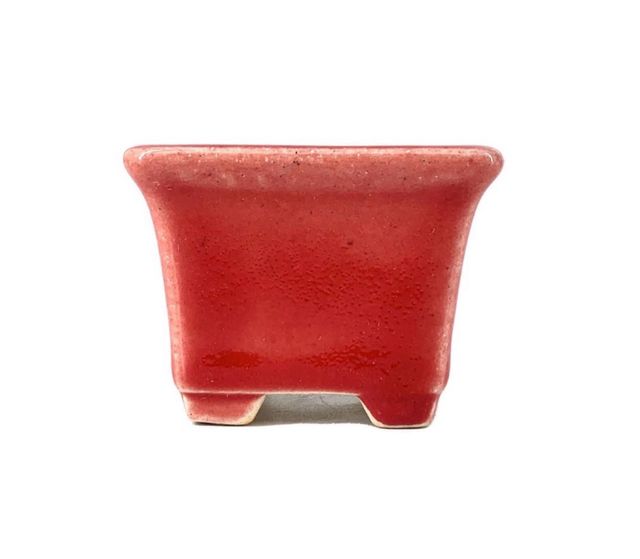 Vaso bonsai quadrado Yixing 5.5 cm vermelho
