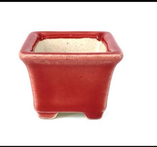 Vaso bonsai quadrado Yixing 5.5 cm vermelho