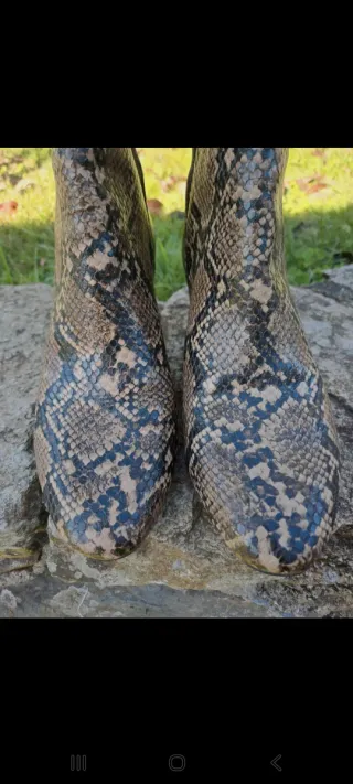 Botines H&M serpiente talla 39