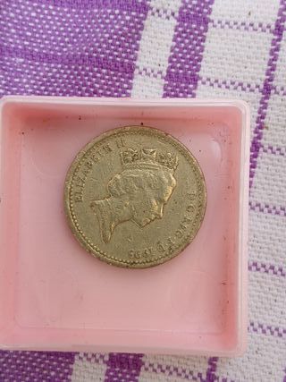 Moneta Regina Elisabetta II 1993