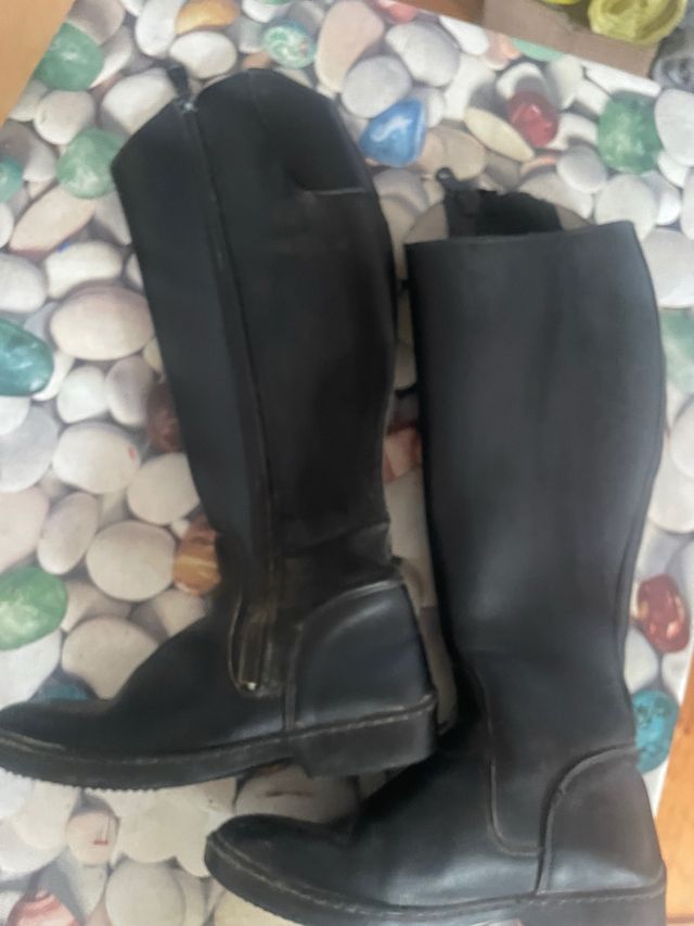 Stivali da equitazione n. 36