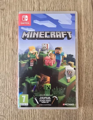 Minecraft Nintendo Switch