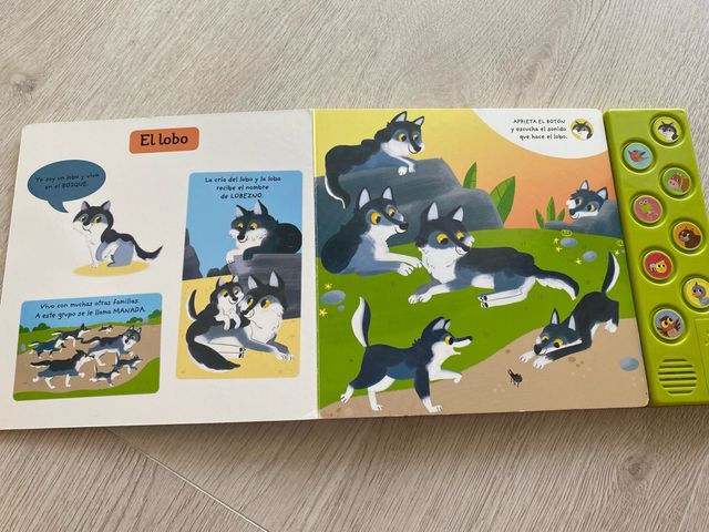 Escucha y descubre animales en la naturaleza (S...