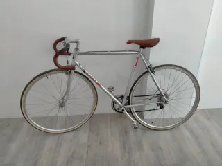 Bicicleta L6000 plateada