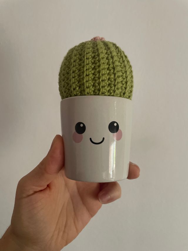 Cactus de ganchillo en maceta