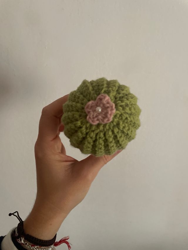 Cactus de ganchillo en maceta