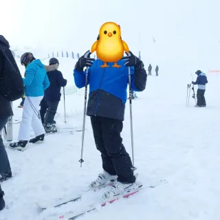 Chaqueta esquí niño Wedze azul/gris. Talla 14 años