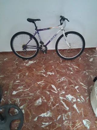 Bicicleta de Montaña Giant Granite