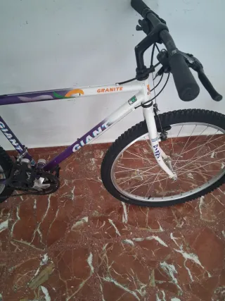 Bicicleta de Montaña Giant Granite