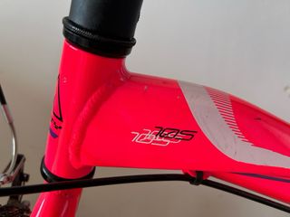 Bicicleta Monty Infantil Rosa