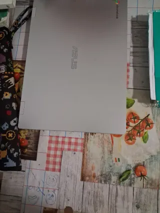 Portátil ASUS Plata