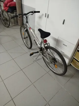 Bicicleta de Montaña