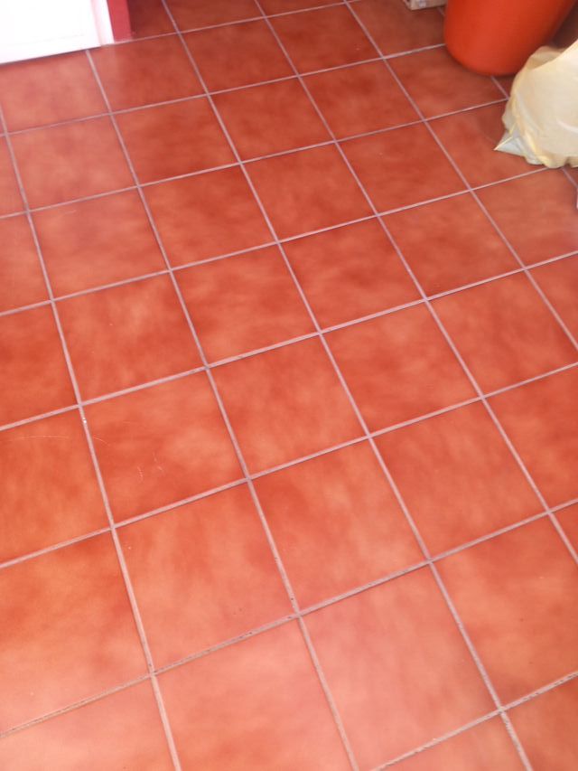 Kalanchoe en maceta blanca