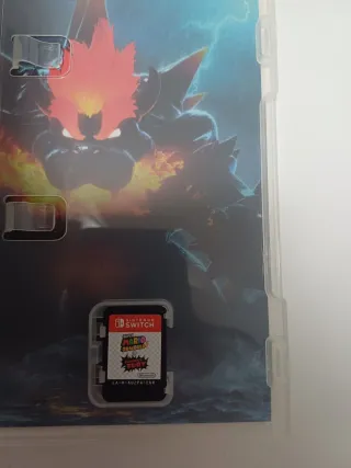 Super Mario 3D World + Bowser's Fury Switch