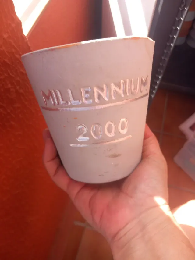 Macetas de barro y cerámica