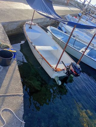 Bote de pesca con motor fueraborda