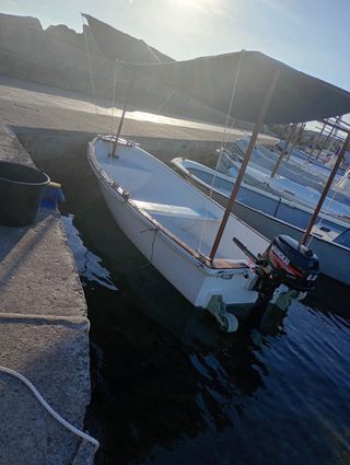 Bote de pesca con motor fueraborda