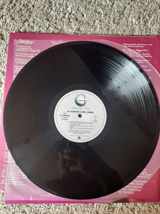 Donna Summer - The Wanderer Vinile 1980