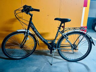 Bicicleta paseo adulto