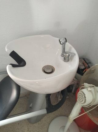 Lavabezas peluquería