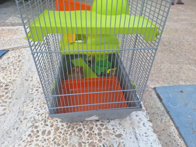 Jaula para hámster con accesorios
