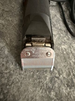 Esquiladora electrica Oster