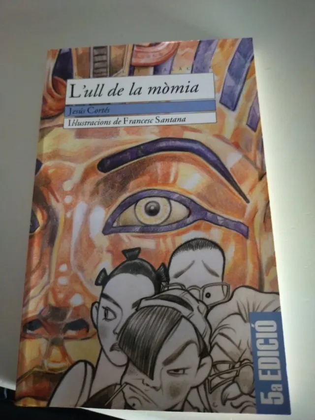 Lote novelas juveniles en valenciano