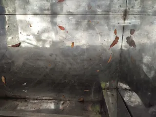 Nevera Botellero Pepsi Estropeado