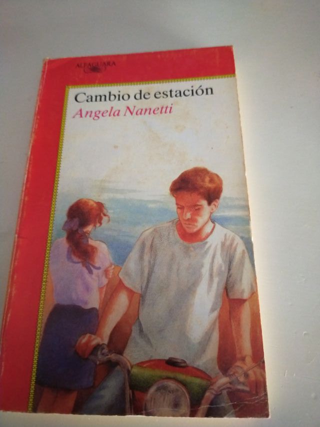 Lote novelas juveniles