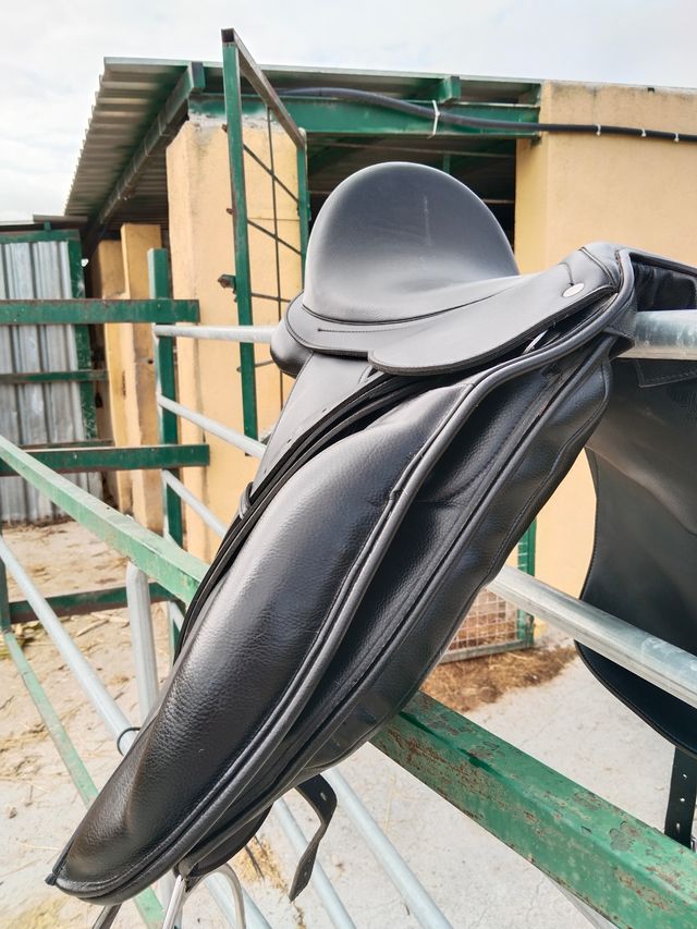 Montura de doma Negra Seminueva